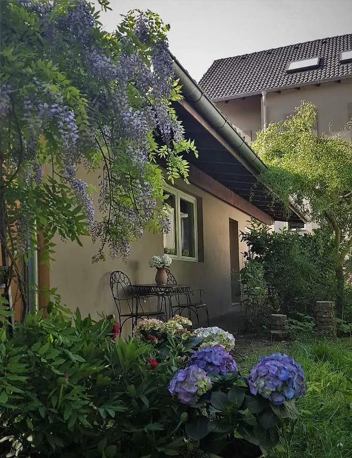 Kolev Apartments Kelsterbach Germany